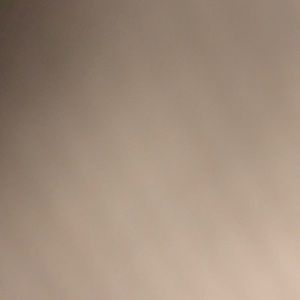 Meet your Posher, Bryce